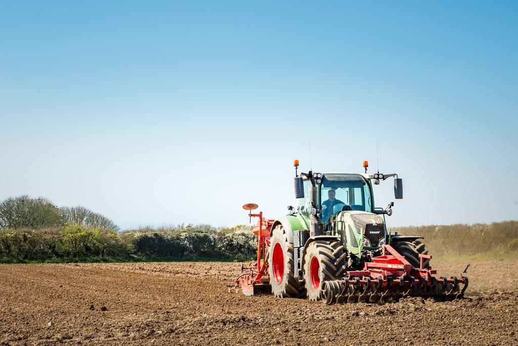 הוילה בוסקאסל Cargurra Farm מראה חיצוני תמונה